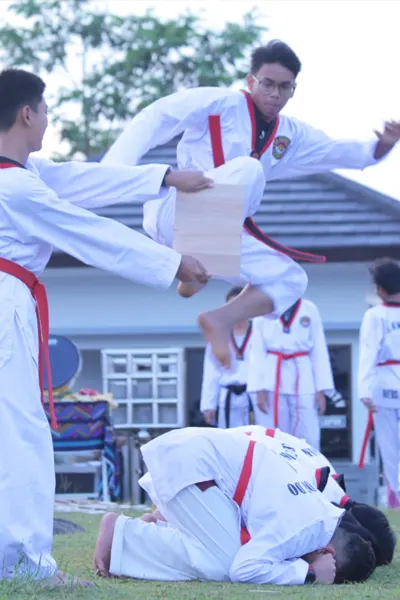 Pencak Silat